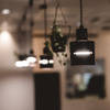Bistro Kojiya - メイン写真: