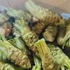 海鮮・鎌倉野菜 まつだ家 - メイン写真: