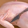 焼鳥 誉 - メイン写真: