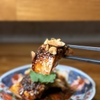 NOGI - メイン写真: