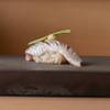ゼックスウエスト 炙り焼き＆寿司 アン - メイン写真: