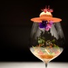 レストランエール - メイン写真: