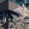 サラベス - メイン写真: