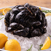 5108 MUSSEL&GIN ALSO - メイン写真: