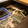 5108 MUSSEL&GIN ALSO - メイン写真: