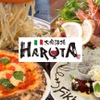 イタリアン大衆酒場HARUTA - メイン写真: