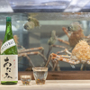 熱海おさかな・大食堂 - メイン写真: