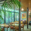 THE TENDER HOUSE DINING - メイン写真: