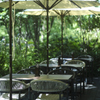 TWELVE GARDENS BAR&GRILL - メイン写真:
