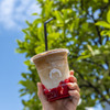 MiA COFFEE ROASTERS - メイン写真: