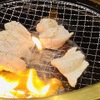 大阪焼ふぐの会 - メイン写真: