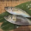 寿司 高瀬 - メイン写真: