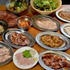 大衆ホルモン・やきにく 煙力 - 料理写真:4980円コース