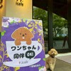 #icafe - メイン写真: