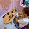 #icafe - メイン写真: