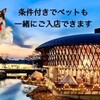 サクレフルール - メイン写真: