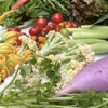 Osteria Tutto Sole - メイン写真: