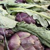 Osteria Tutto Sole - メイン写真: