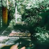 TWELVE GARDENS BAR&GRILL - メイン写真: