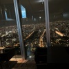 SKY GARDEN 300 - メイン写真: