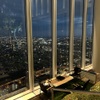 SKY GARDEN 300 - メイン写真: