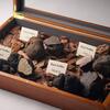 Terres de Truffes, Tokyo - メイン写真: