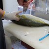 酒場 フジコ - メイン写真: