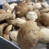 Osteria Tutto Sole - メイン写真:
