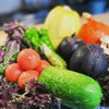 料理屋 染川 - メイン写真: