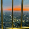 SKY GARDEN 300 - メイン写真: