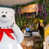 Hokkaido Menkoi Kumachan Onsen Shibuya ten