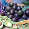 Mexican Dining AVOCADO - メイン写真: