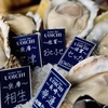 Oyster bar UOICHI - メイン写真:
