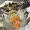 本格焼肉・もつ鍋 肉衛門 - メイン写真: