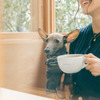 ocean good table - メイン写真: