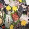 夢鶏屋 - メイン写真: