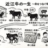 近江焼肉ホルモンすだく - メイン写真: