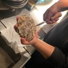 牡蠣×海老 かいり 恵比寿 - メイン写真: