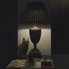 Polysection - メイン写真: