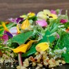 vege&bar シンバル - メイン写真: