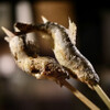 炉端焼き 楽華日 大泉邸  海鮮 個室 居酒屋 - メイン写真: