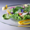 RESTAURANT KOGA - メイン写真: