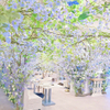 HAUTE COUTURE BRUNCH - メイン写真: