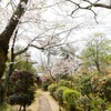 百楽荘 - メイン写真: