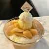 Asakusa Fruits Cafe SNOW BOWL