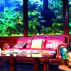 ＤＥＮ アクアルーム 新宿 - メイン写真: