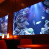 ＤＥＮ アクアルーム 新宿 - メイン写真: