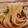 考えるな、うどん食え。 - メイン写真: