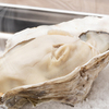 牡蠣いのうえ - メイン写真: