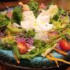 OSTERIA GAINA - メイン写真: